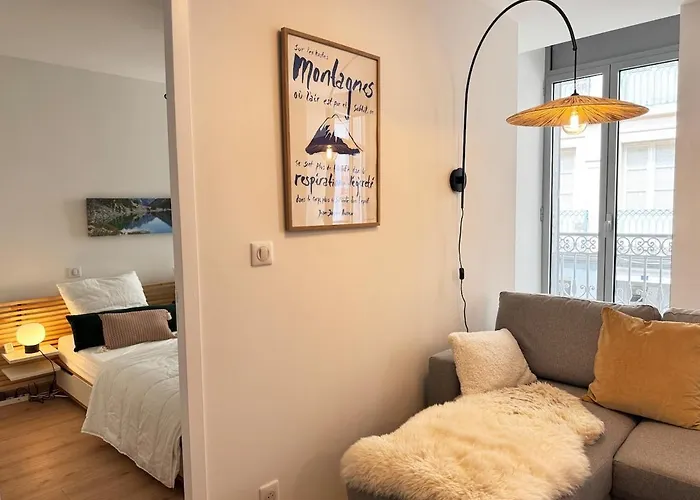 Plein Centre Bel 3pieces De 70m2 Pour 6 Pers * コテレ